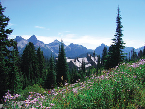 Mt. Rainier - By Elizabeth Lawley